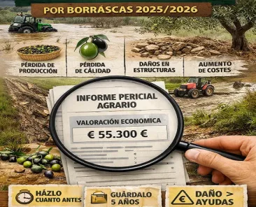 Informe_Borrascas