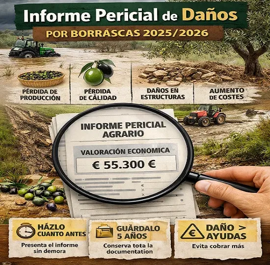 Informe_Borrascas